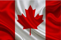 Canadian Made by Countryside Harness in Ontario